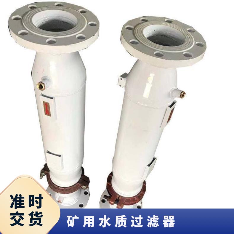 盛诺立式管式活性炭矿用水质过滤器DN150 规格齐全 可定做