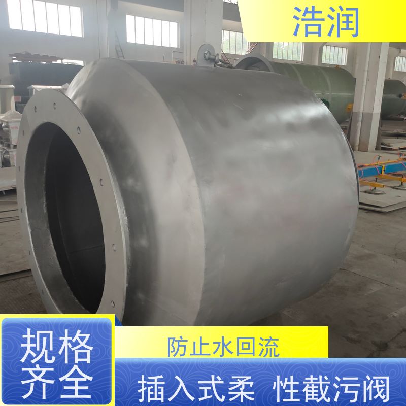 浩润 防倒灌自控截污设备 不锈钢材质 按需定制