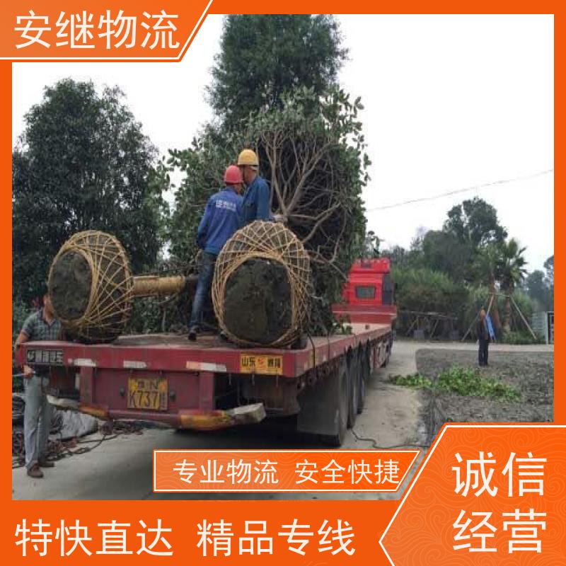 浙江安继提供绍兴诸暨到昌吉物流公司直达专线 运输托运 