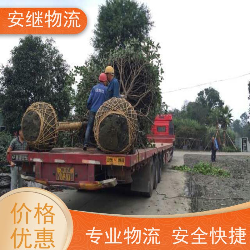 浙江安继提供绍兴诸暨到丽江物流公司直达专线 运输托运 
