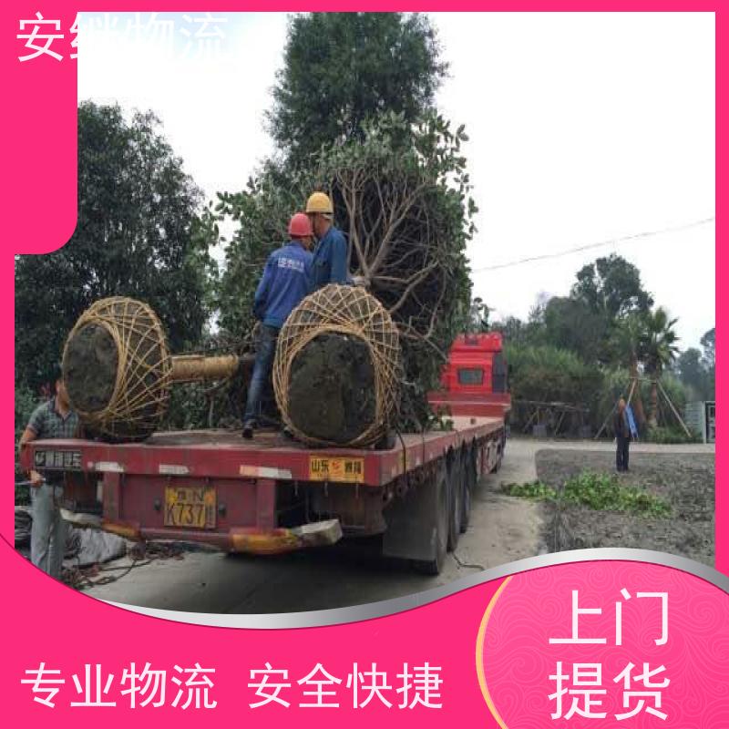 浙江 绍兴 新昌县到阿克苏物流公司 零担货运专线 
