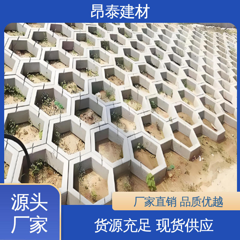源头工厂 抗剪能力强 混泥土实心砖 高度10cm 六棱护坡砖