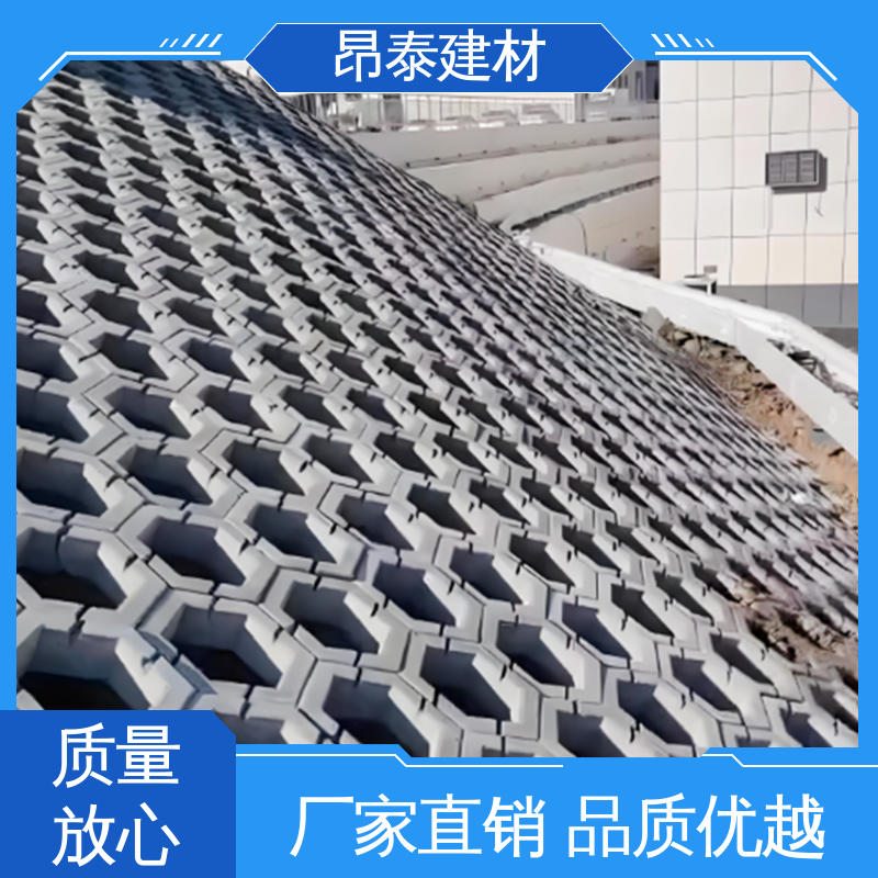 昂泰建材 不易变形 实心水泥道路砖 适用范围广 六角护坡砖