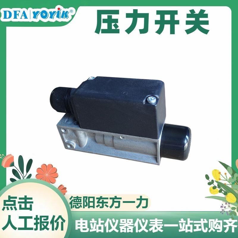 电厂专用变送器DBS/Q-131 供应 灵活安装 多种样式