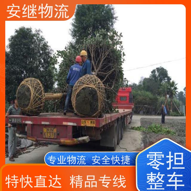 绍兴安继 承接浙江 嵊州到福鼎物流公司 直达专线 运输货运 