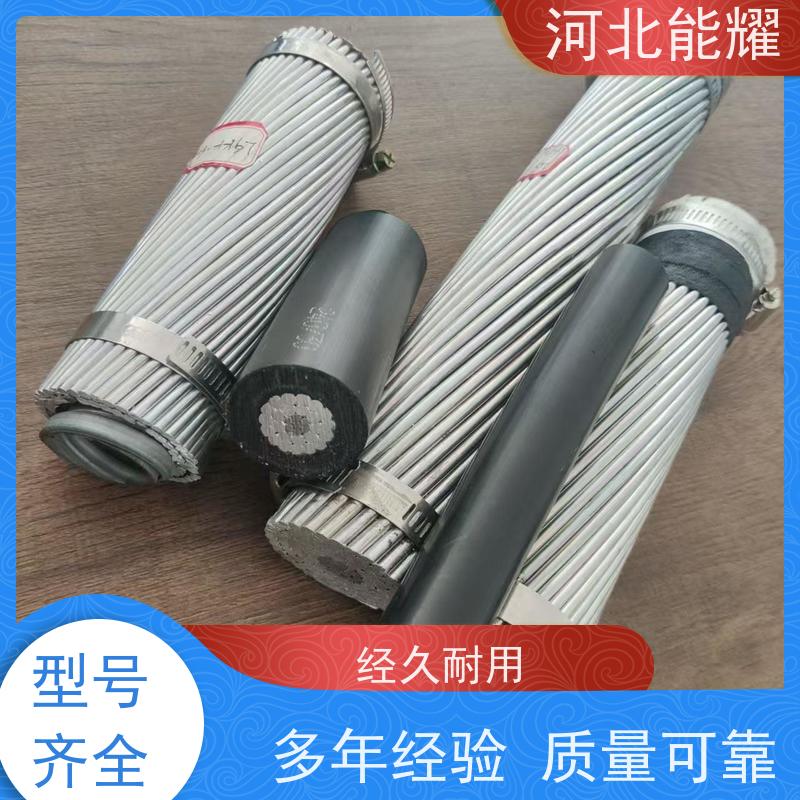 电力工厂输变导线 2xLGJQT-250/25 传输容量大 防腐钢芯铝绞线