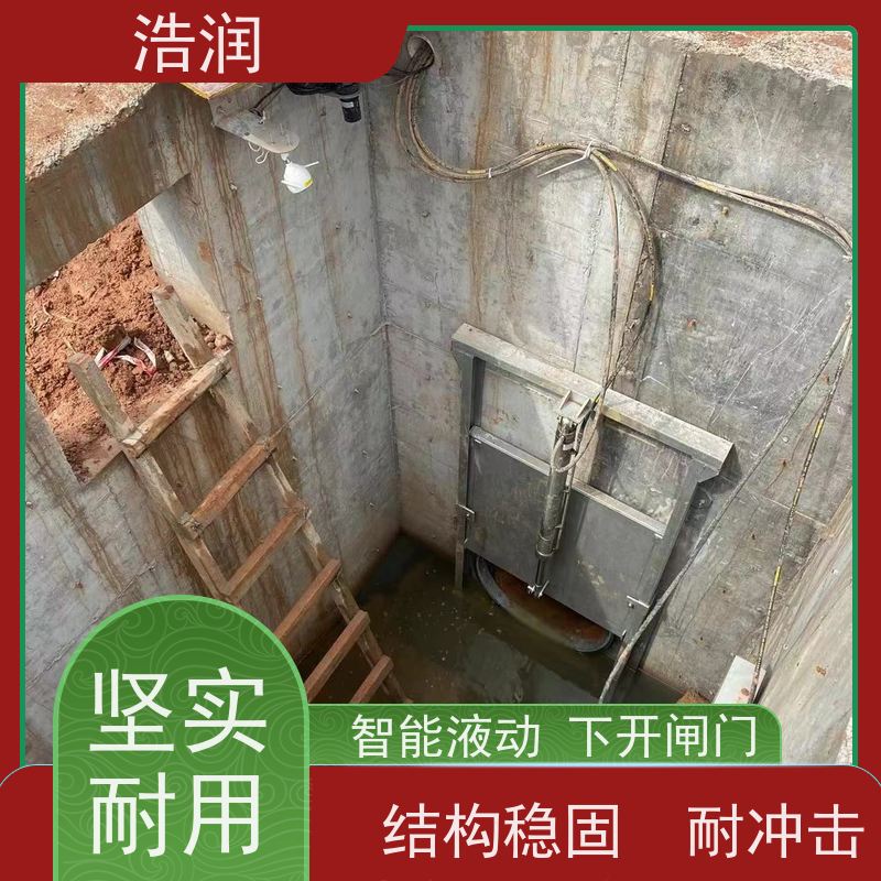 浩润 手电两用启闭机闸门 304不锈钢材质 性价比高