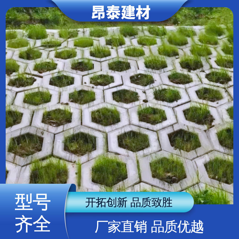 昂泰建材 安装便捷 多年行业经验 抗剪能力强 六角护坡砖