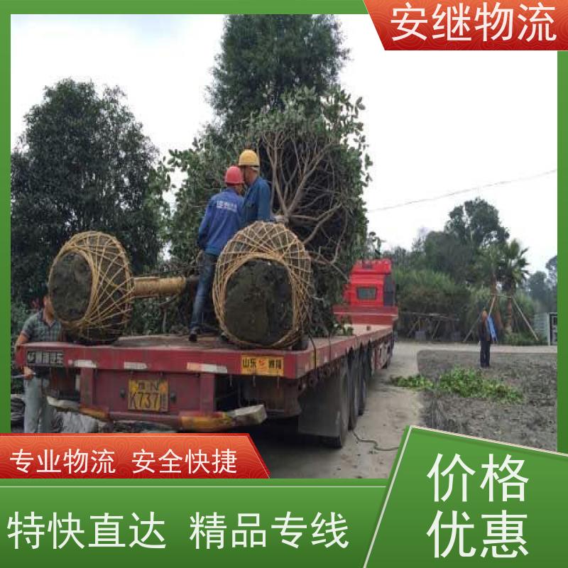 绍兴安继 承接浙江 嵊州到开封物流公司 直达专线 运输货运 