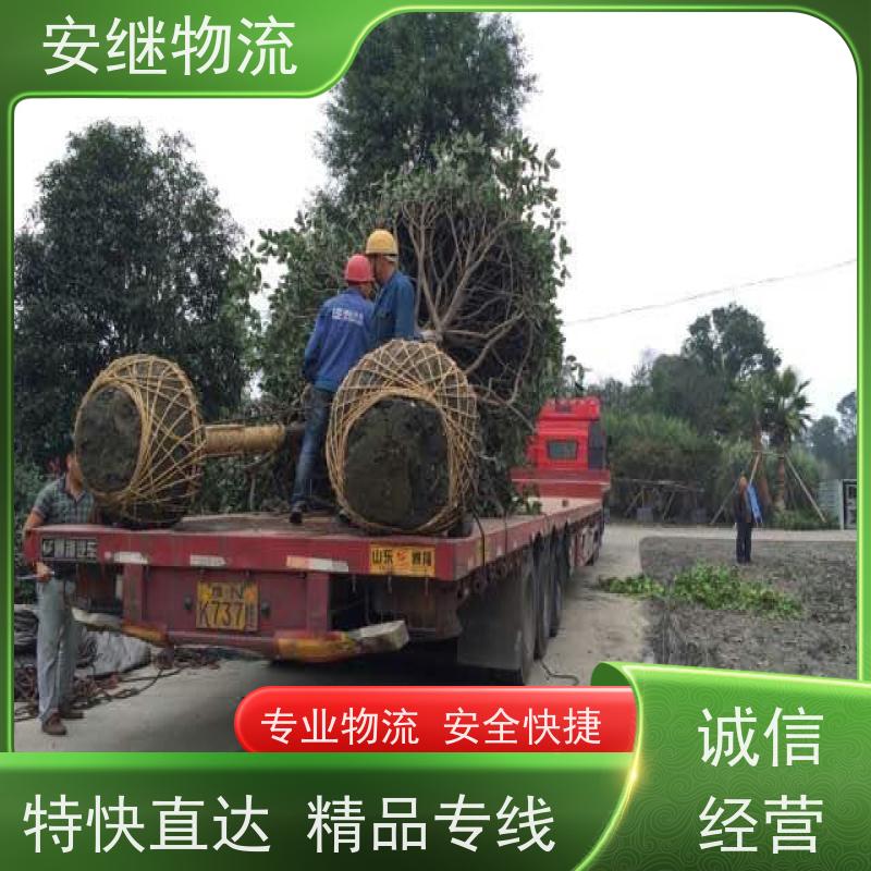 浙江 绍兴 新昌县到凤城物流公司 零担货运专线 一站式直达运输