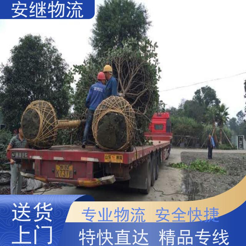 绍兴安继 承接浙江 嵊州到晋中物流公司 直达专线 运输货运 