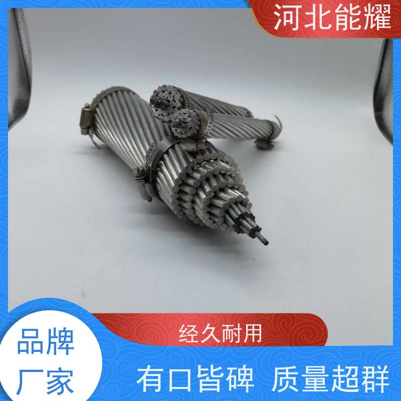  线经标准 精工制造 防腐钢芯铝绞线 2xJL/G1A-100/17 精工制造