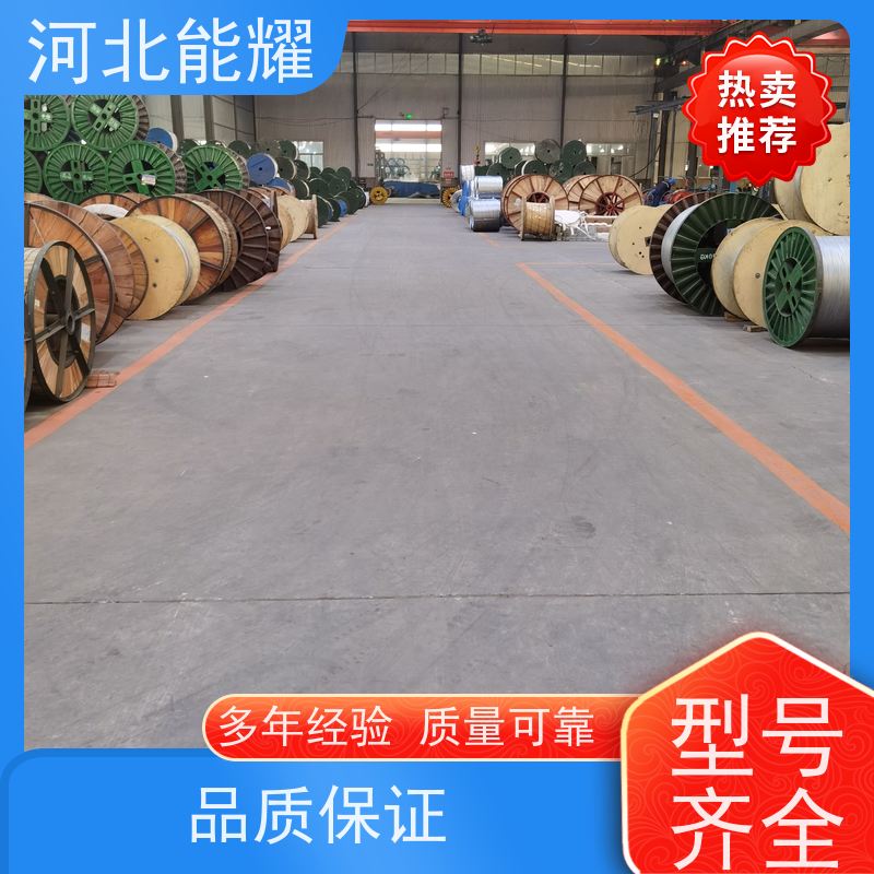 散热效果性能高 稀土钢芯铝绞线 JL1/G2A-95/20 大型生产基地