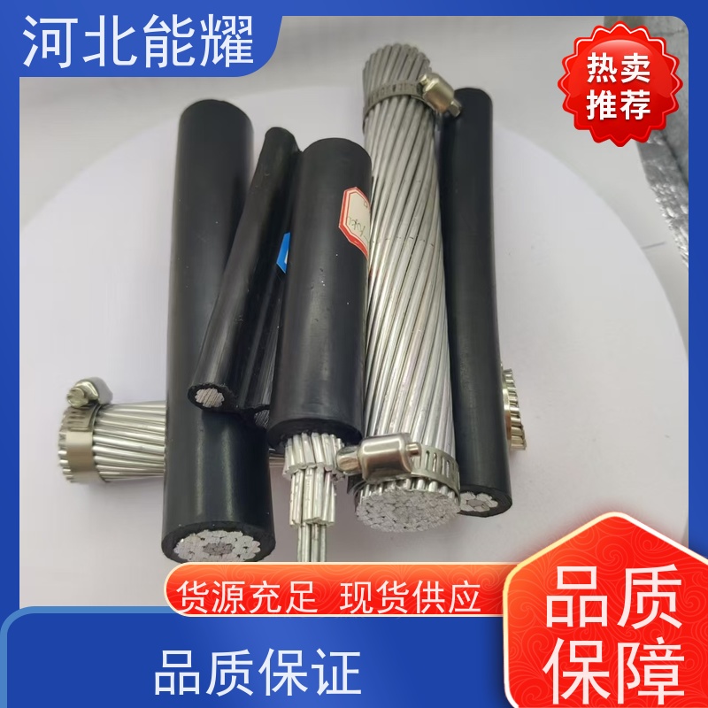  使用寿命长 质量保证 变电站钢芯铝绞线 JL2/G3A-70/10 大跨越电线