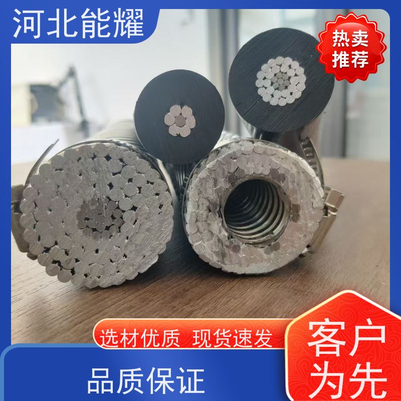  国标定制 环保原材料 变电站钢芯铝绞线 2xJL/G1A-95/15 导电率稳定
