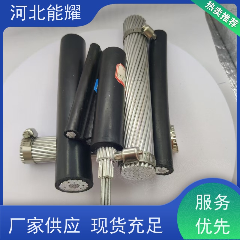  多规格可选 支持加工 稀土钢芯铝绞线 JL2/G2A-10/2 批发零售