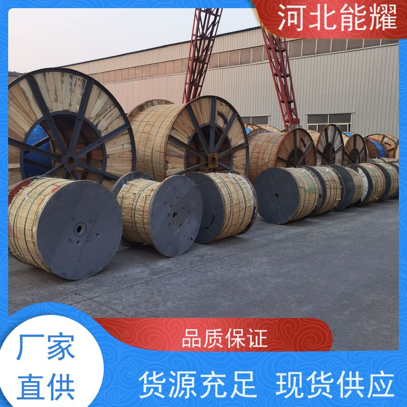  架空裸电线 输送电能 变电站钢芯铝绞线 2xLGJQT-16/3 大跨越电线