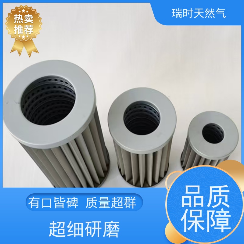 天然纯净 瑞时天然气（清洁气）净味器 家用活性炭滤芯