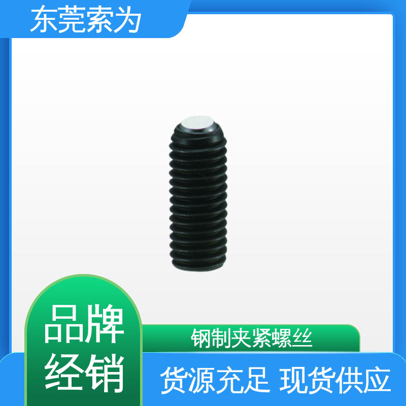 批发供应 SCS-F 夹紧螺丝 四氧化三铁保护膜 性能可靠