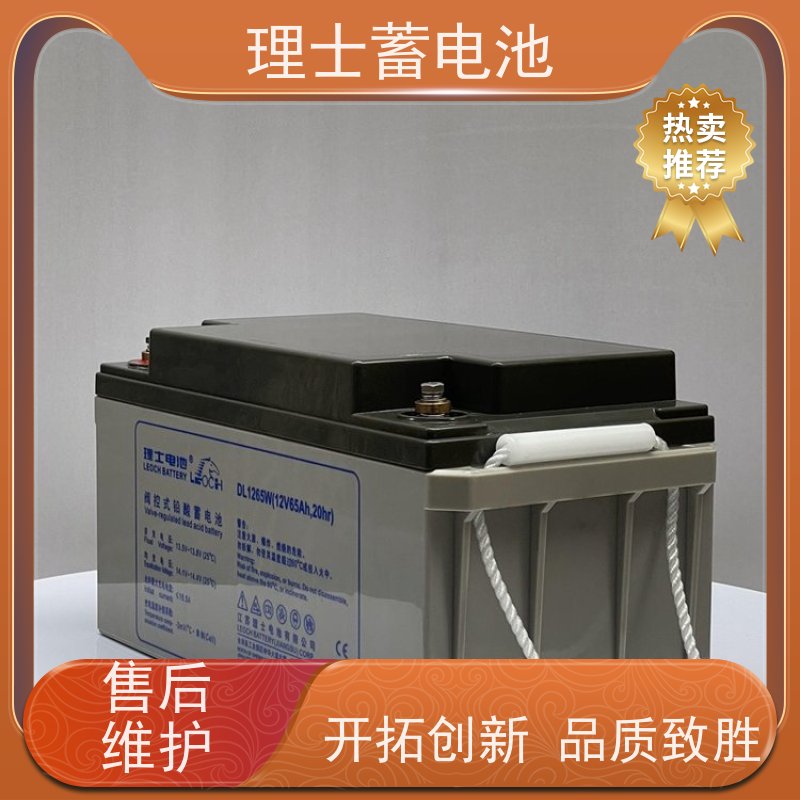 理士UPS电池 12V24AH ups专用机房应急电源 安装维护保养