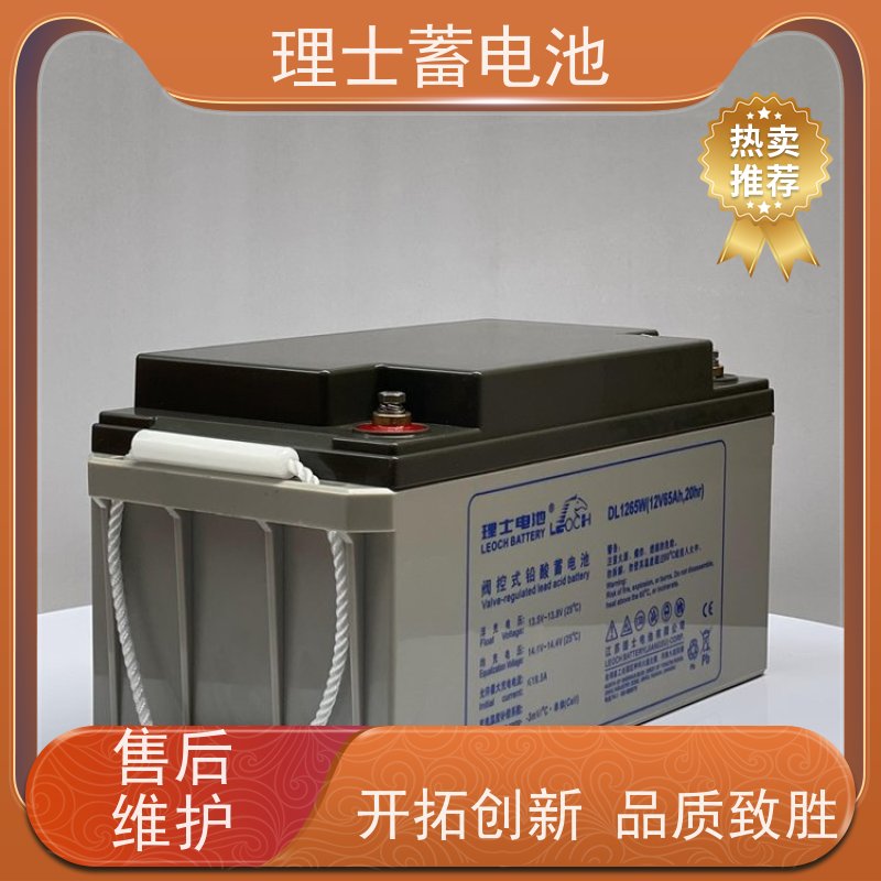理士蓄电池厂 12V100AH 机房/直流屏ups电源专用储能 安装维护保养