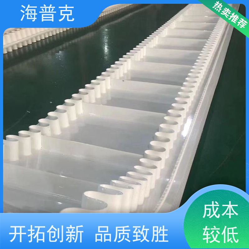 海普克 厂家直供 高强度耐拉伸 小型食品粮食 爬坡裙边输送带