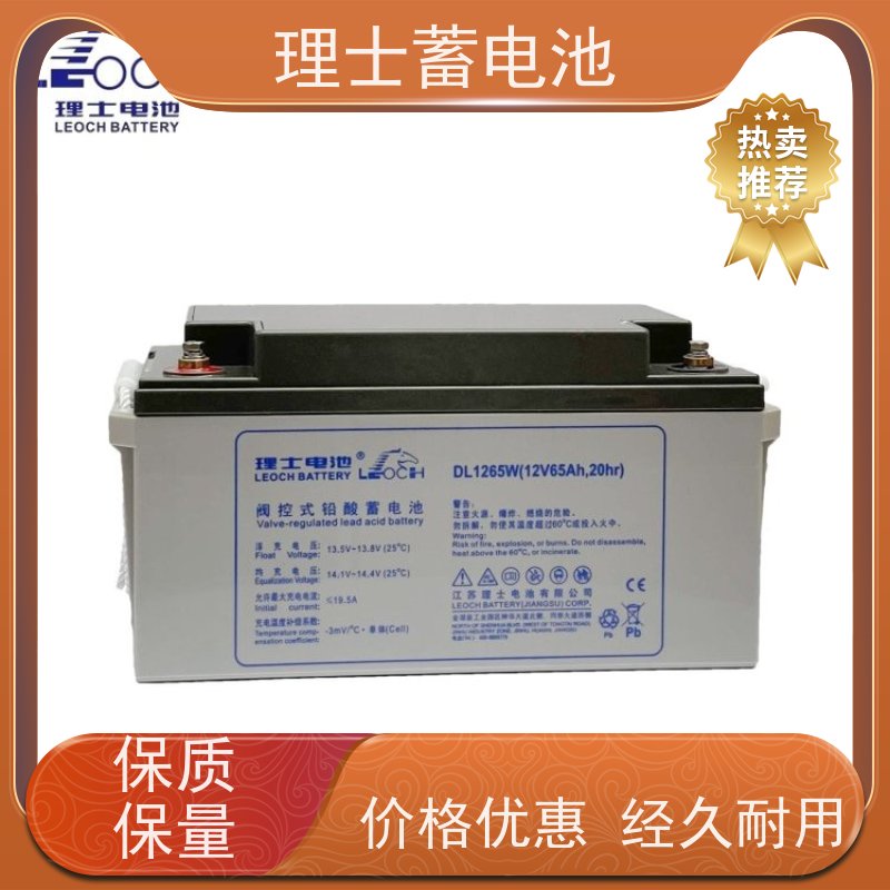 理士蓄电池 DJM12100S 数据机房ups直流屏EPS备用电源 质保三年