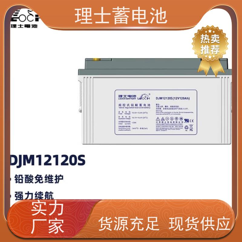 LEOCH理士蓄电池 12V24AH 数据机房ups直流屏EPS备用电源 实力厂家