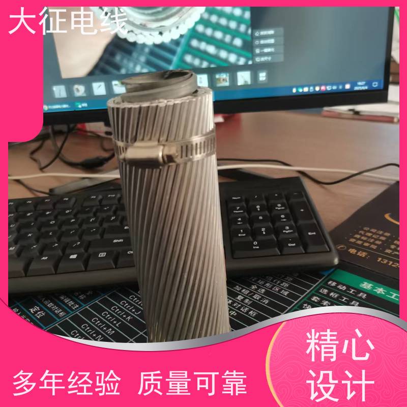  耐热铝合金绞线 增容大跨越导线 2xJNRLH58GJ-1400/200 多股多层绞合