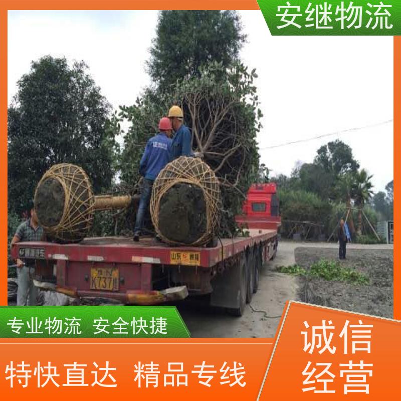 浙江安继 绍兴市 新昌县到开平物流公司 直达运输 货运专线 