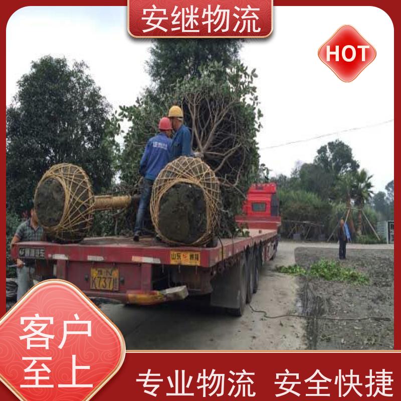 绍兴 上虞 诸暨到漳州物流公司 零担整车运输 特快专线直达 