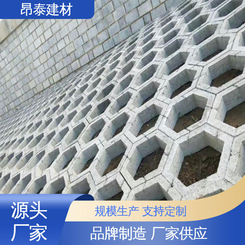 源头工厂 坚固牢靠 抗渗漏性强 六棱护坡砖 仿花岗岩砖