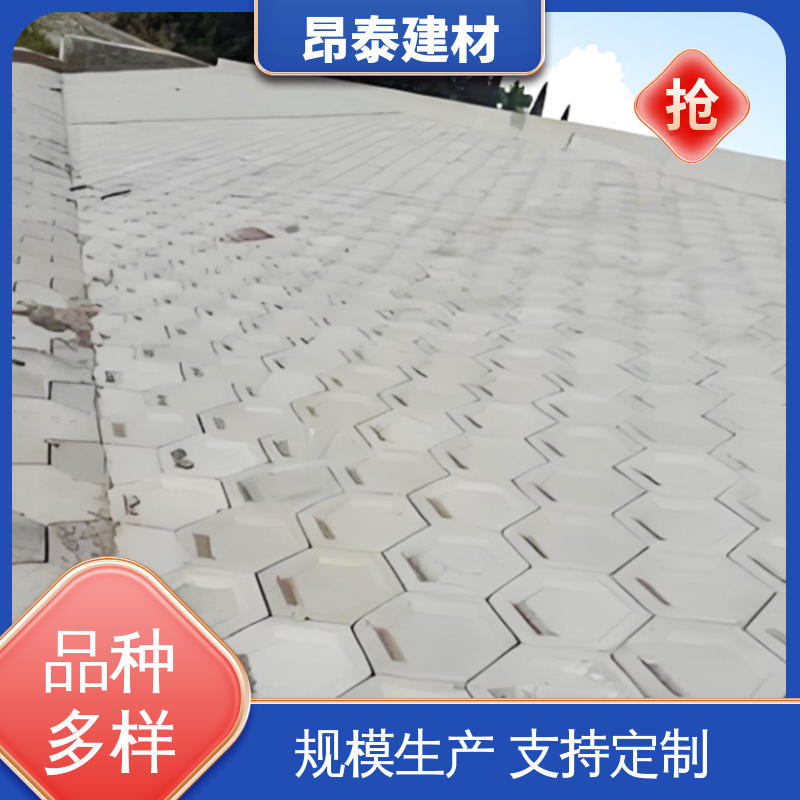 昂泰建材 结构稳定 承压能力强 库存充足发货快 六棱护坡砖