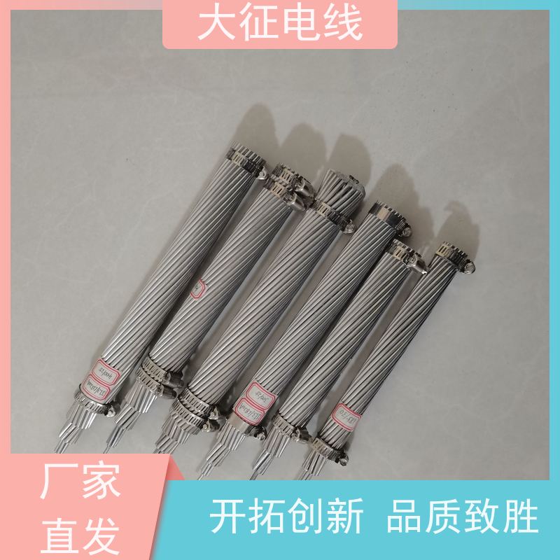  钢芯耐热铝合金绞线 定尺定米 实地工厂 JNRLHGJ-800/100 线经标准