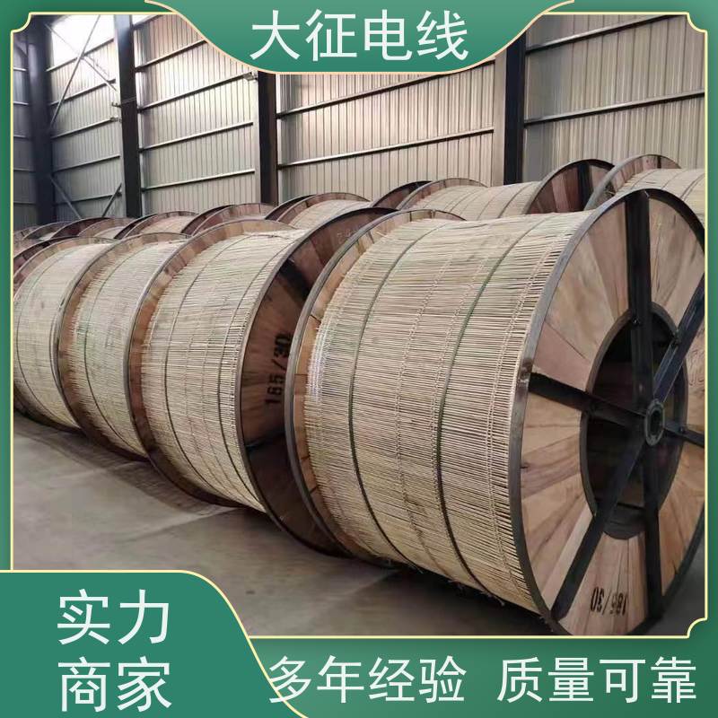  高导耐热铝合金导线 国标质量 支持定制 2xJNRLH60GJ-800/55 品类齐全