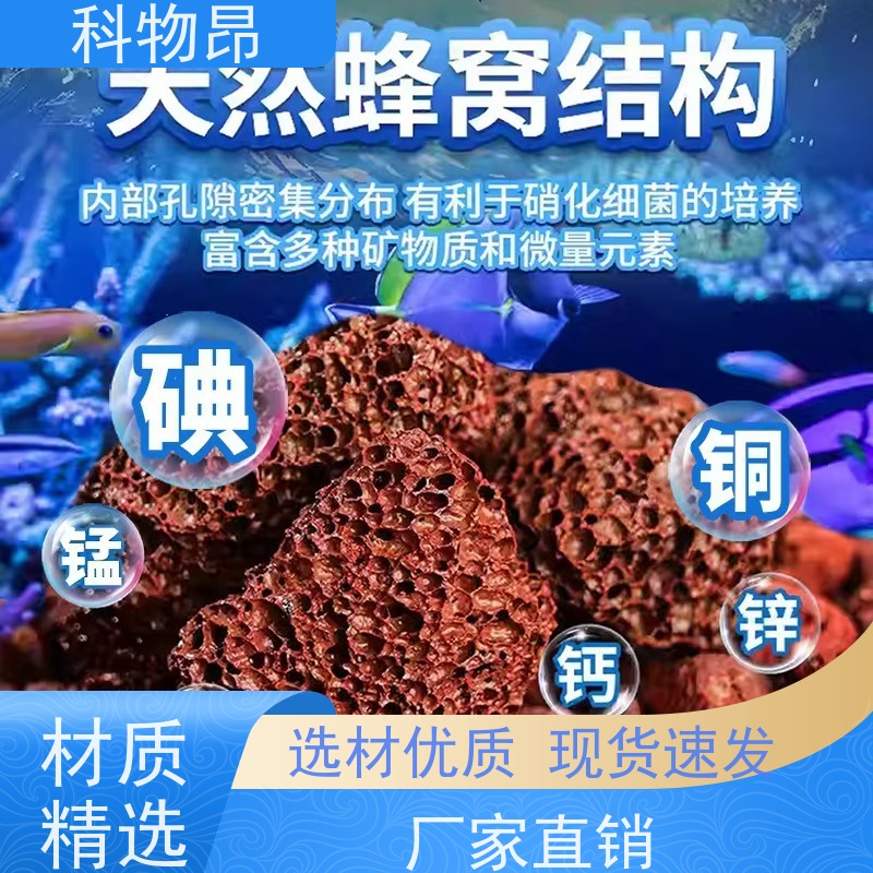科物昂 地力提升 火山岩盆栽造型石 重量可选 优质矿产