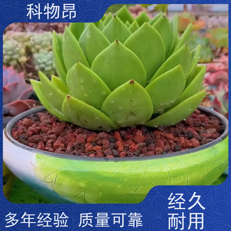 科物昂 水族 火山岩假山堆砌材料 形状可定制 接受代发