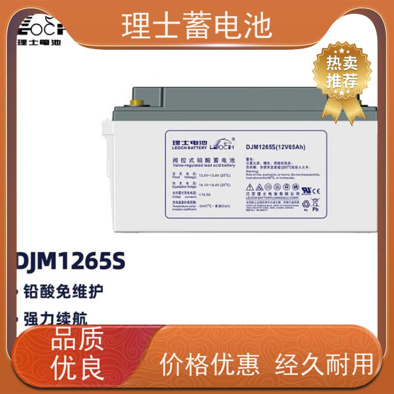 LEOCH理士蓄电池 DJM12200S 机房通信EPS应急储能电源 实力厂家