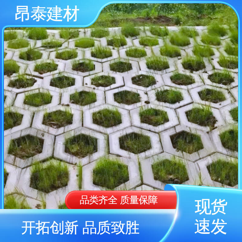 库存充足发货快 坚固牢靠 六角护坡砖 抗渗漏性强 源头工厂