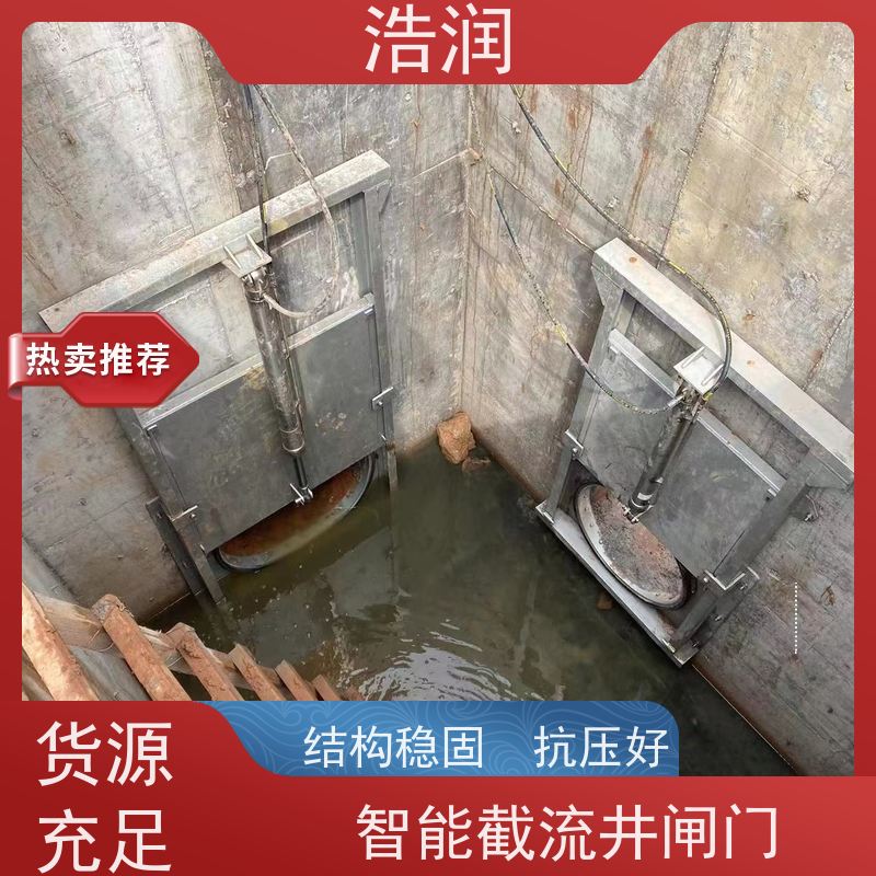 浩润 手电两用启闭机闸门 304不锈钢材质 性能稳定