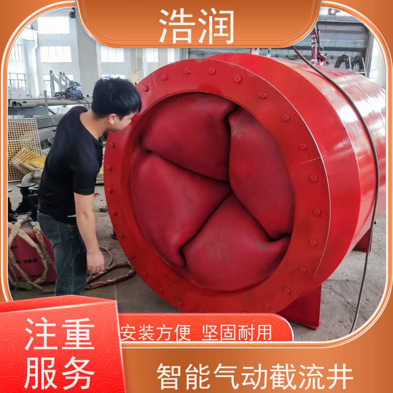 浩润 智能雨污分流器 柔性阀 防腐性强 结构合理 长期供应