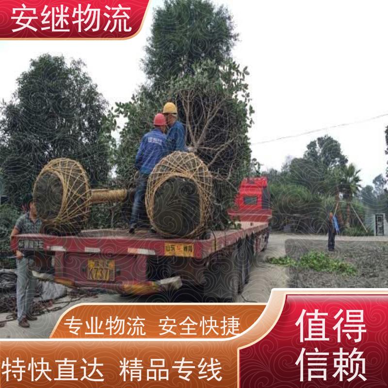 浙江 绍兴 新昌县到昌吉物流公司 零担货运专线 一站式直达运输