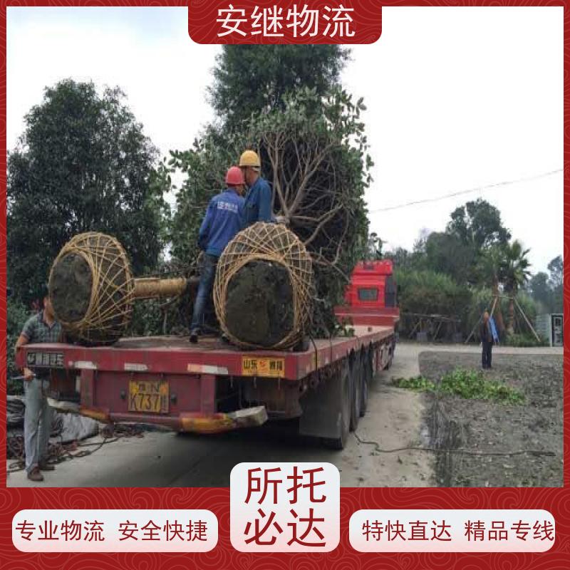 绍兴嵊州新昌到东兴物流公司零担运输专线 特快货运直达 
