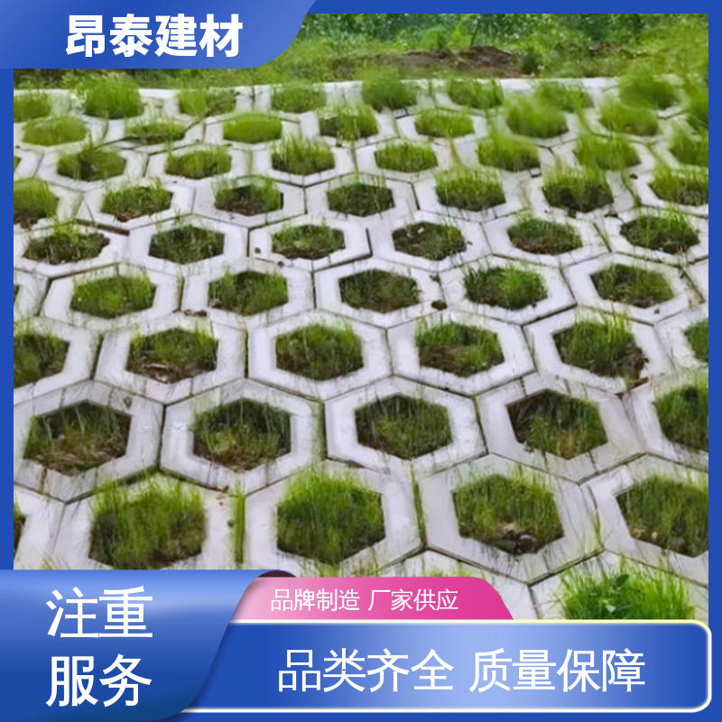 售后可靠 六棱护坡砖 抗渗漏性强 混泥土实心砖 成品预制