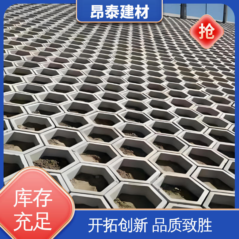 六棱护坡砖 边长20cm 多年行业经验 抗剪能力强 源头工厂