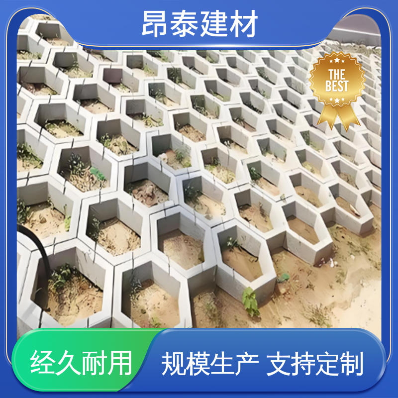 耐磨耐风化 边长20cm 六棱护坡砖 实心水泥道路砖 实力商家