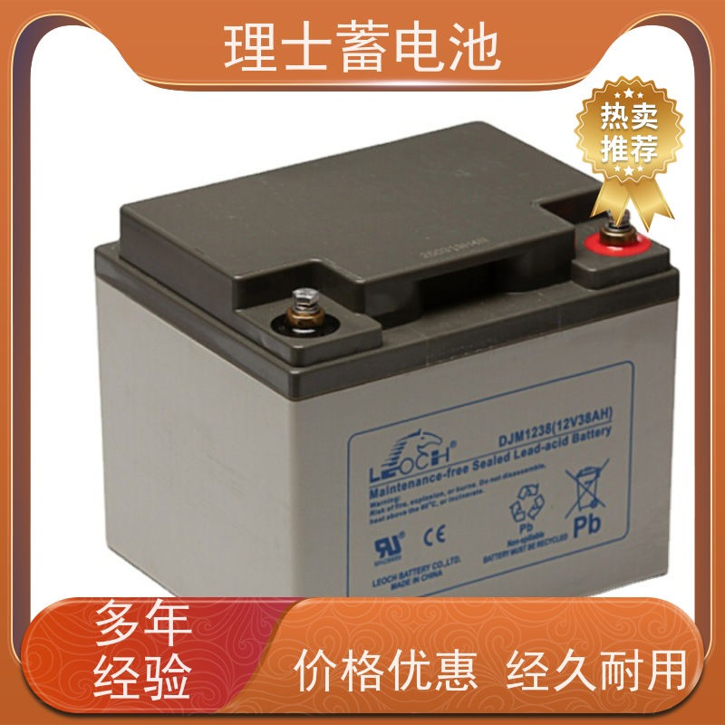 LEOCH理士蓄电池 DJM1238 机房/直流屏ups电源专用储能 安装维护保养