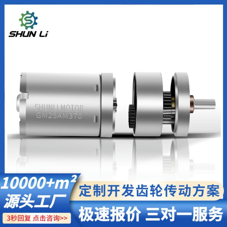 工厂现货促销减速电机25MM310电机12VDC45RPM轴端带铜齿轮
