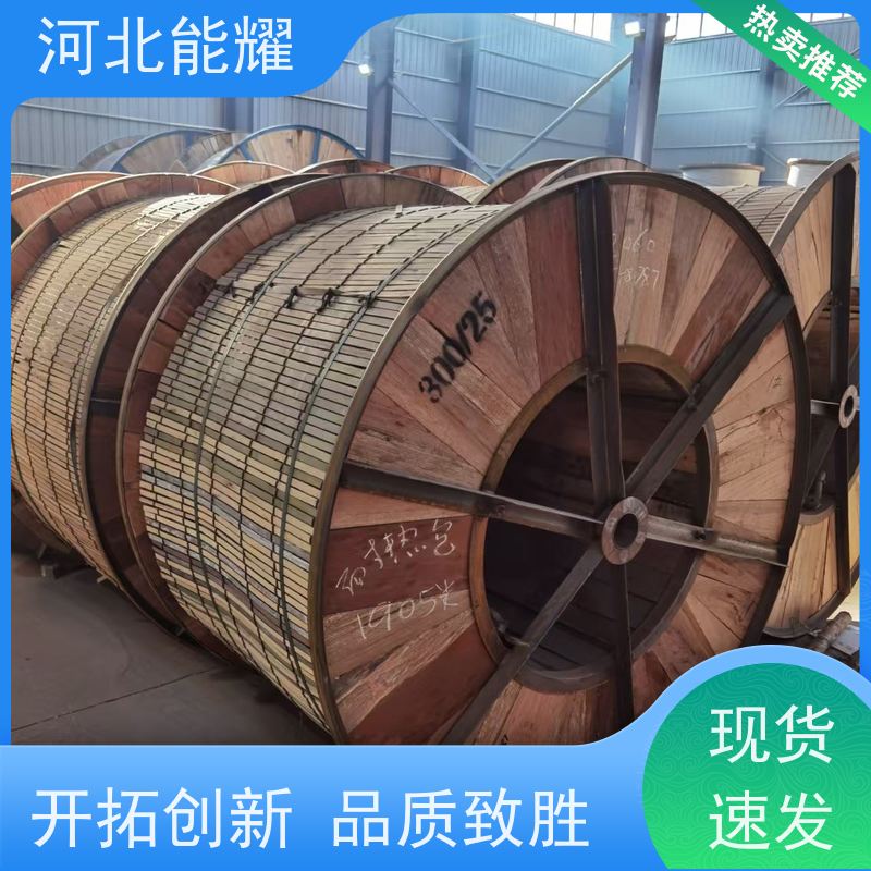  节能环保效益明显 NRLHGJ-300/40 特超耐热铝合金绞线 生产厂家