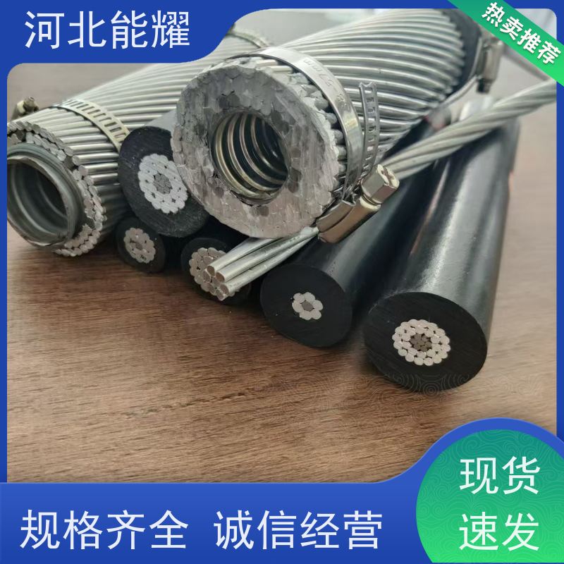  抗电化学腐蚀 2xJNRLH60/G1A-185/25 钢芯耐热铝合金绞线 生产厂家